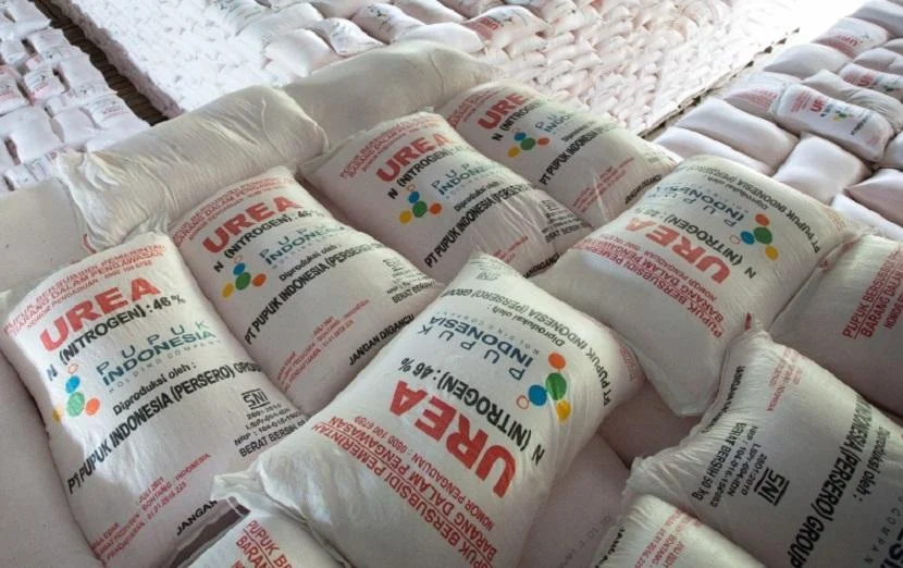 Indonesia Ekspor 500 Ribu Ton Pupuk Urea ke Australia, Nilai Transaksi Rp 7 Triliun