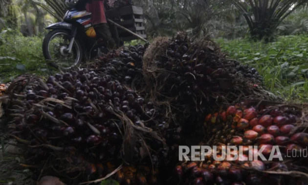 Industri Sawit Serap 16,5 Juta Tenaga Kerja, Astra Agro Gandeng UB Perkuat Kurikulum