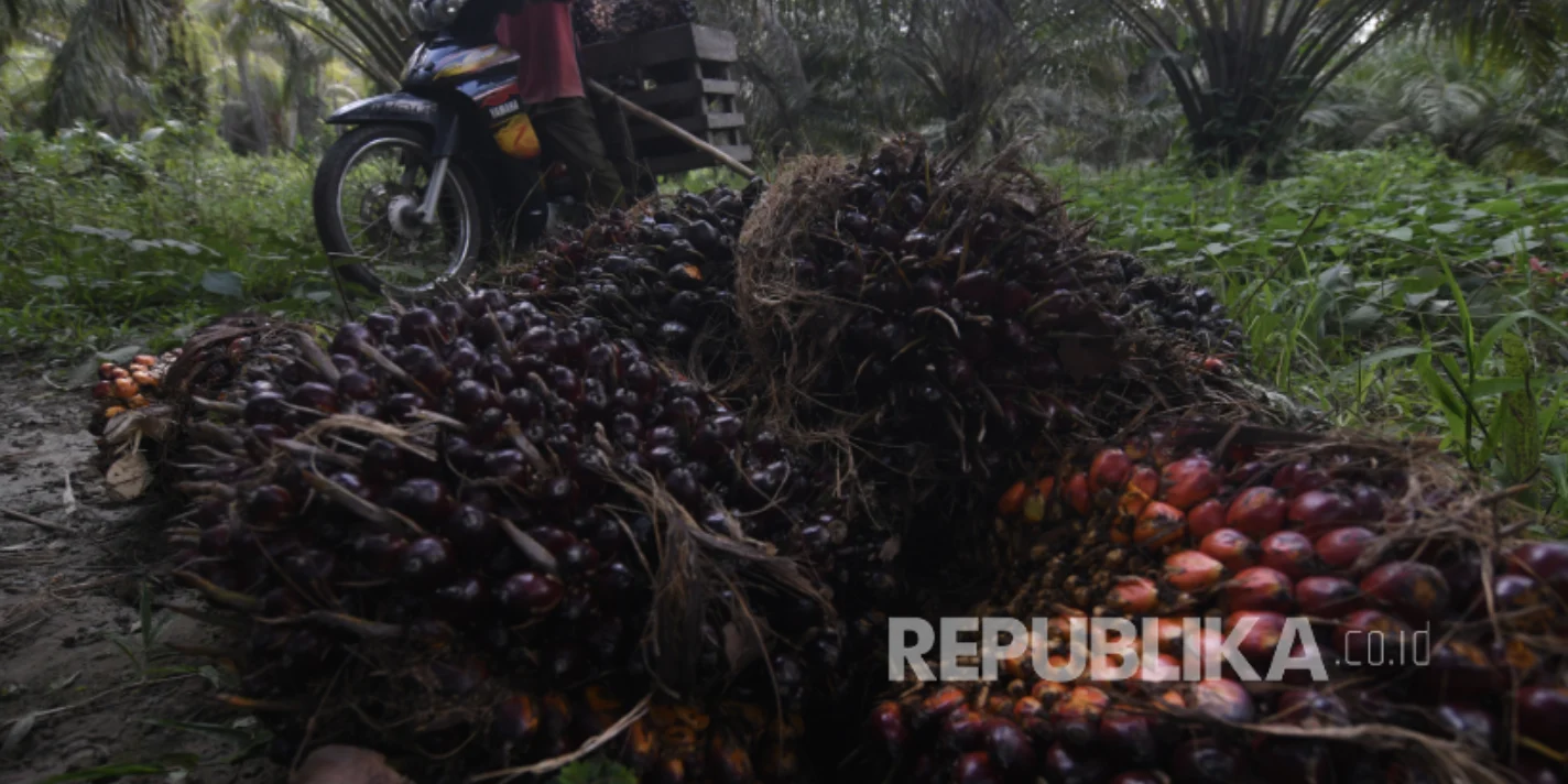 Industri Sawit Serap 16,5 Juta Tenaga Kerja, Astra Agro Gandeng UB Perkuat Kurikulum