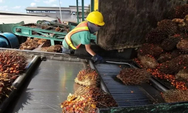 Industri Sawit Tumbuh, Kebutuhan Komponen Pabrik Ikut Meningkat