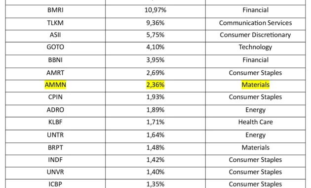 Intip Daftar Saham Konstituen MSCI Indonesia: BBCA, AMMN, GOTO dan Lainnya