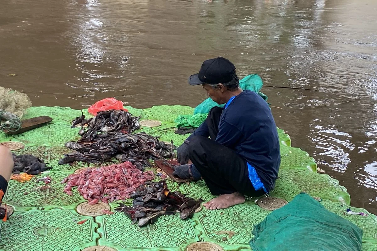 Jakarta Luncurkan Operasi Besar Pembasmian Ikan Sapu-sapu: 10.000 Ton Dihapus dan Rencana Titik Operasi Baru