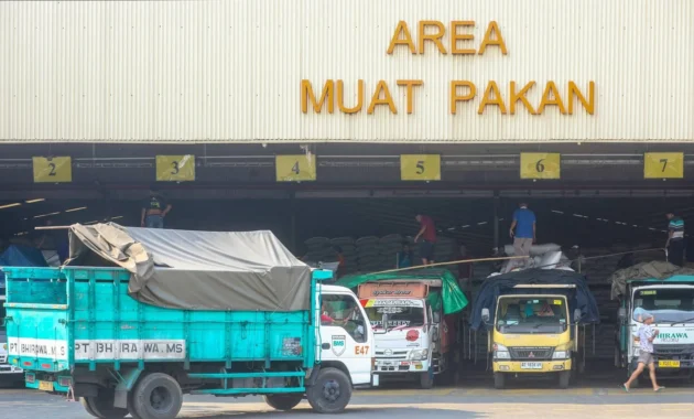 Kaiserslautern di Persimpangan: Dampak Sentimen Global Terhadap Basis Militer AS dan Kehidupan Lokal Kaiserslautern di Persimpangan: Dampak Sentimen Global Terhadap Basis Militer AS dan Kehidupan Lokal