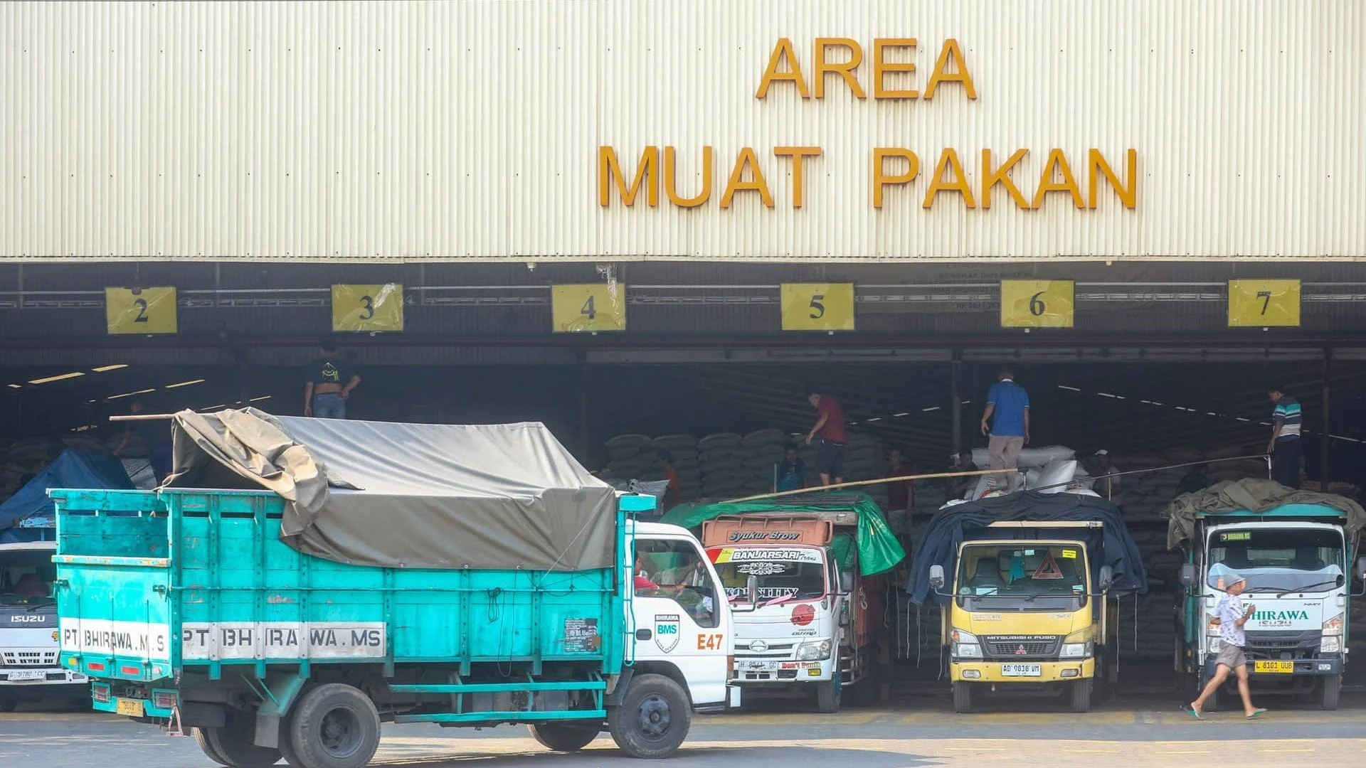 Kaiserslautern di Persimpangan: Dampak Sentimen Global Terhadap Basis Militer AS dan Kehidupan Lokal