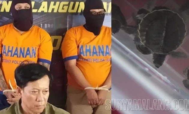 Kakek Mujiran Akui Curi 2 Karung Getah Karet Senilai Rp 1,76 Juta, Bukan Gelapkan 10 Karung Sebesar Rp 8,8 Juta Kakek Mujiran Akui Curi 2 Karung Getah Karet Senilai Rp 1,76 Juta, Bukan Gelapkan 10 Karung Sebesar Rp 8,8 Juta
