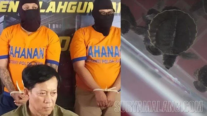 Kakek Mujiran Akui Curi 2 Karung Getah Karet Senilai Rp 1,76 Juta, Bukan Gelapkan 10 Karung Sebesar Rp 8,8 Juta