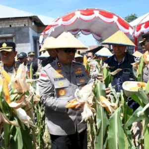 Kapolri: Panen Jagung Polri Capai 3,9 Juta Ton pada 2025
