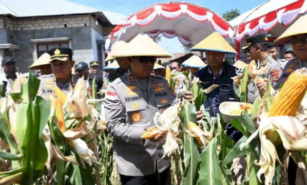Kapolri Paparkan Hasil Panen Jagung Polri, 100 Ton Siap Diekspor ke Malaysia