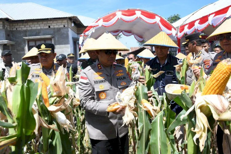 Kapolri Paparkan Hasil Panen Jagung Polri, 100 Ton Siap Diekspor ke Malaysia