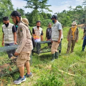 Karantina Lampung Gagalkan Penyeludupan 620 Satwa Liar