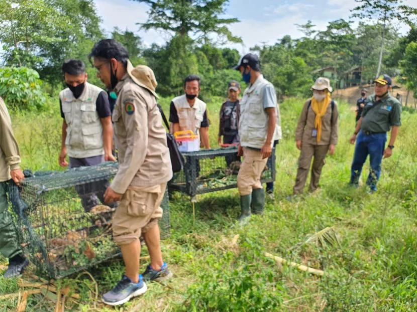 Karantina Lampung Gagalkan Penyeludupan 620 Satwa Liar