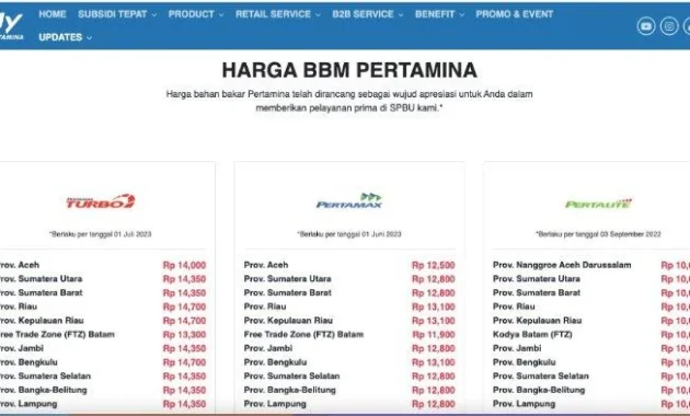 Kata Waketum PAN, Harga Solar Naik atau Tidak Naik Dampaknya pada Pertamina dan APBN