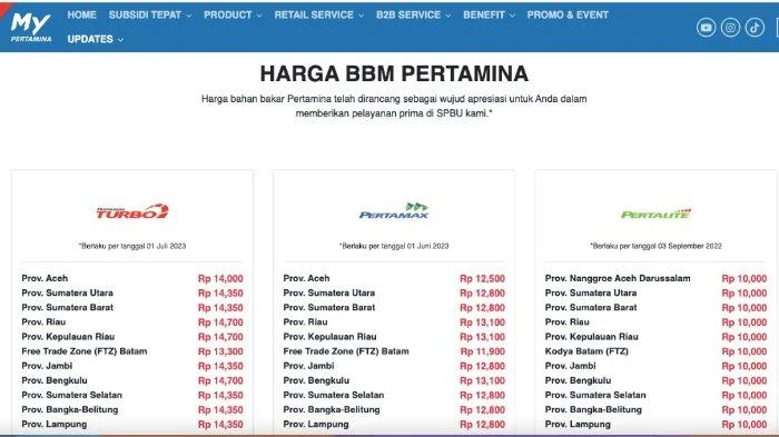 Kata Waketum PAN, Harga Solar Naik atau Tidak Naik Dampaknya pada Pertamina dan APBN