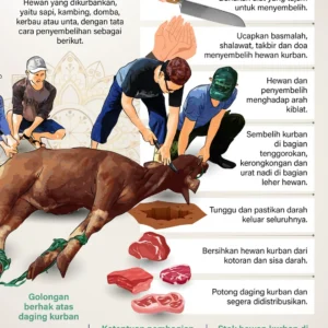 Kemenag Tegaskan: Tidak Ada Larangan Bagi Umat Muslim Sembelih Hewan Kurban Secara Pribadi