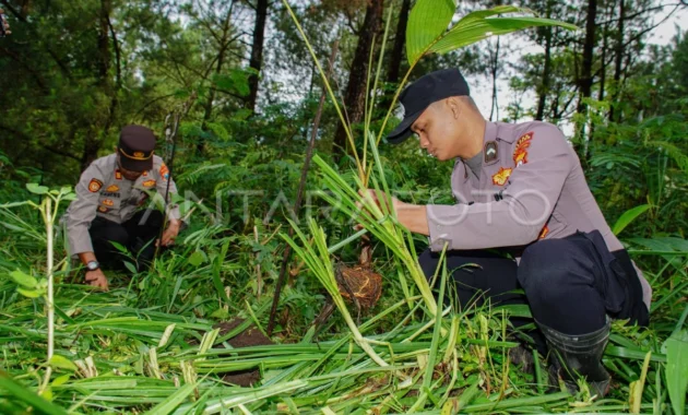Kemenhut Target 13 Taman Nasional Jadi Kawasan Konservasi Kelas Dunia, TNBTS di Jatim Jadi Piloting