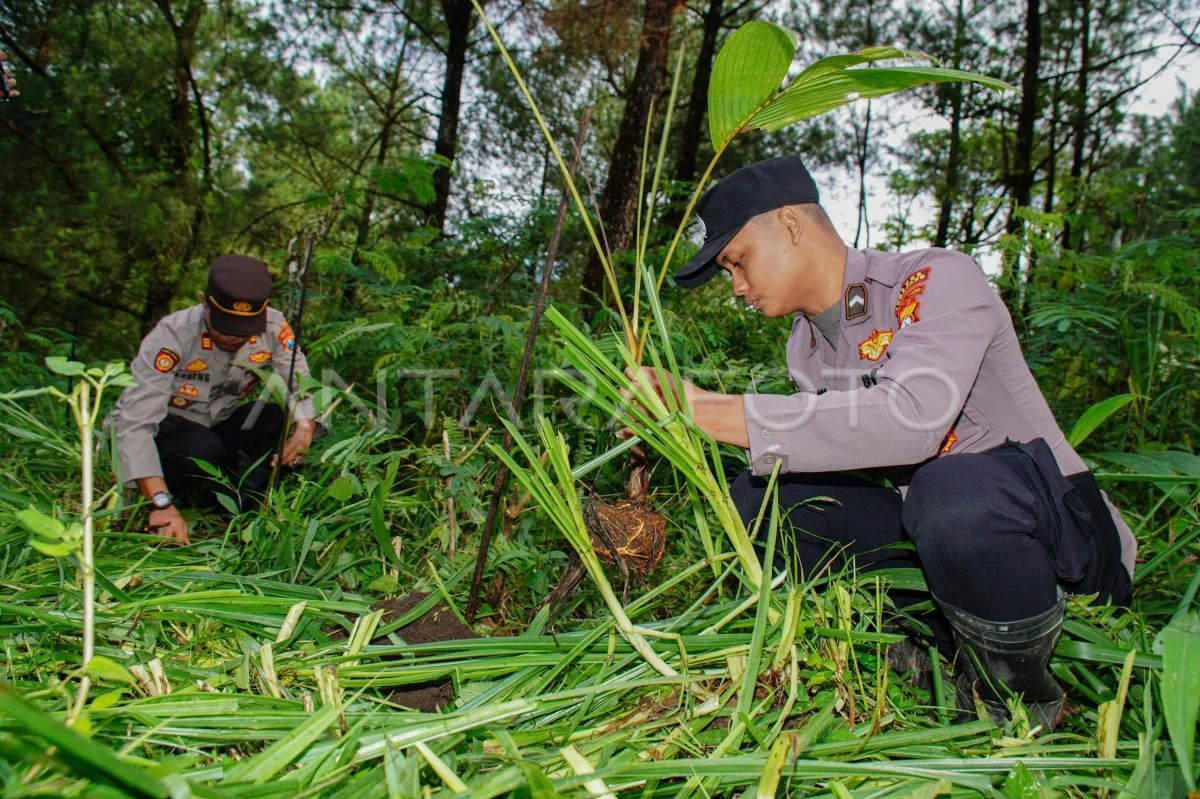 Kemenhut Target 13 Taman Nasional Jadi Kawasan Konservasi Kelas Dunia, TNBTS di Jatim Jadi Piloting