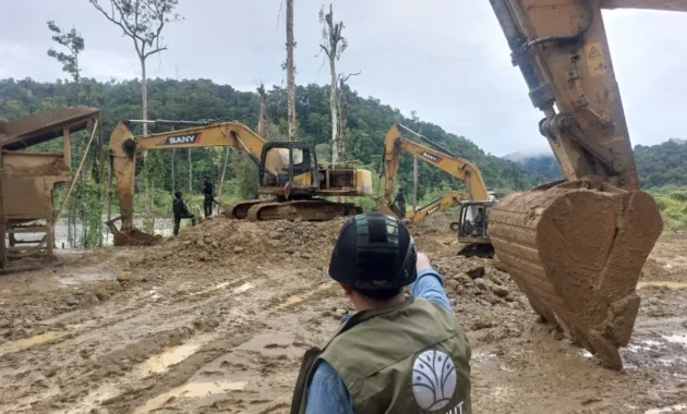 Kemenhut Tetapkan Empat WNA China Tersangka Kasus Tambang Emas Ilegal di Nabire