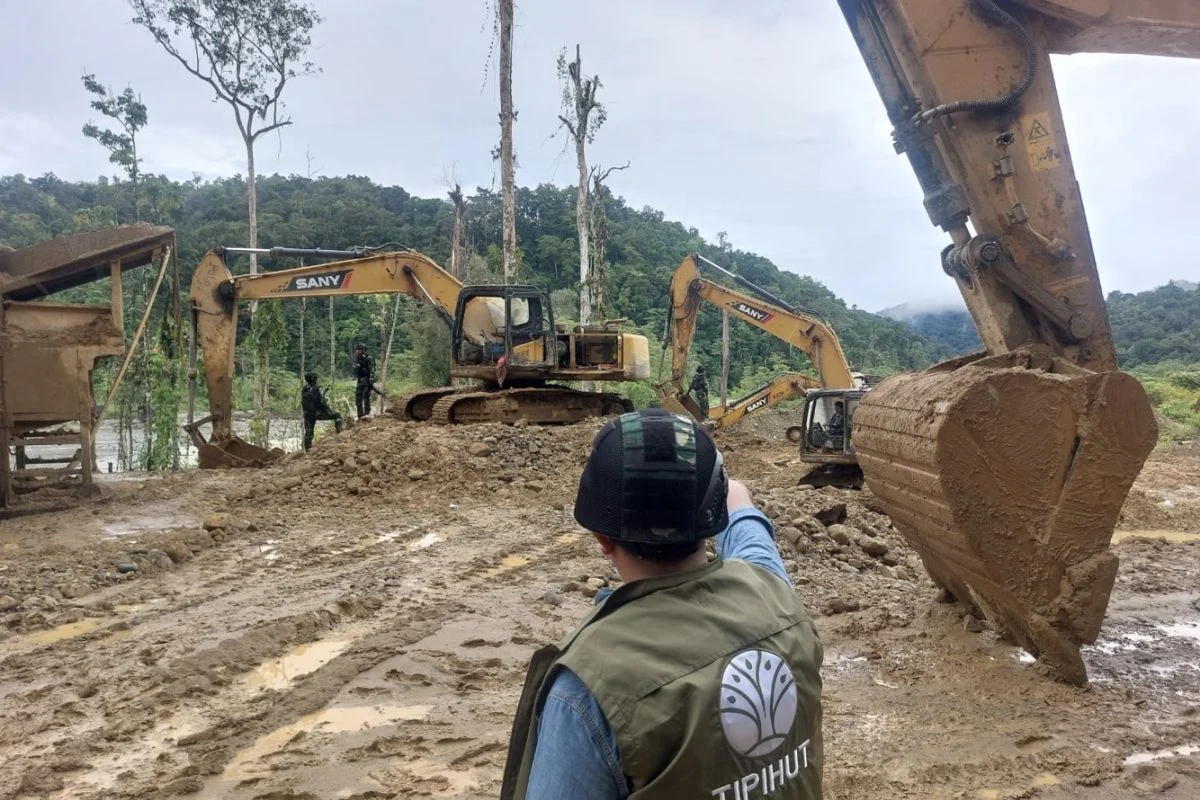 Kemenhut Tetapkan Empat WNA China Tersangka Kasus Tambang Emas Ilegal di Nabire