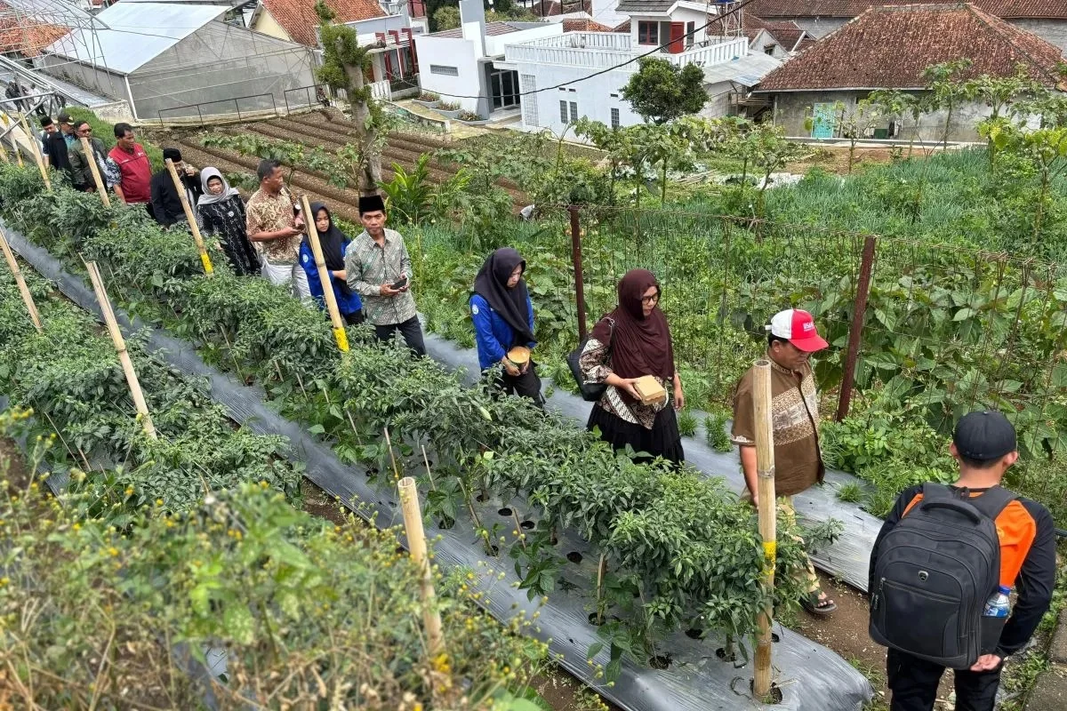 Kemenko PM Dorong Petani Kecil Mandiri Lewat Kolaborasi
