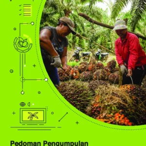 KemenPPPA Susun Pedoman Pengarusutamaan Gender di Sektor Kelapa Sawit