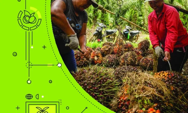 KemenPPPA Susun Pedoman Pengarusutamaan Gender di Sektor Kelapa Sawit KemenPPPA Susun Pedoman Pengarusutamaan Gender di Sektor Kelapa Sawit