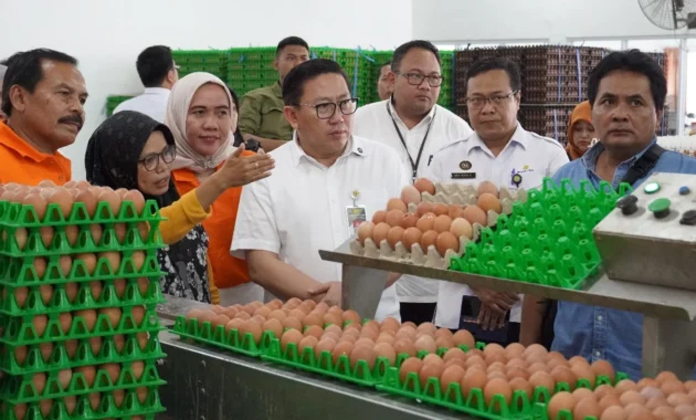 Kementan dan Bapanas Perkuat Penyerapan Telur Peternak di Magetan