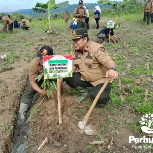Komitmen Lindungi Hutan, Perhutani Tanam 357 Juta Bibit Pohon Jaga Kelestarian Alam