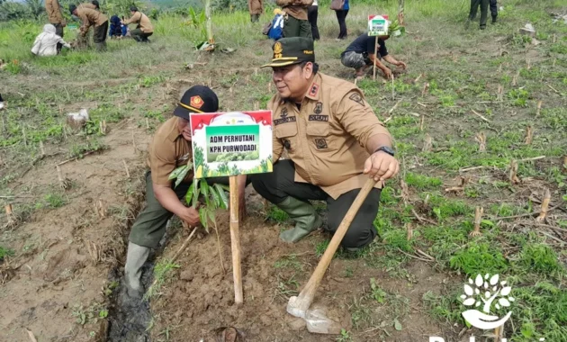 Komitmen Lindungi Hutan, Perhutani Tanam 357 Juta Bibit Pohon Jaga Kelestarian Alam