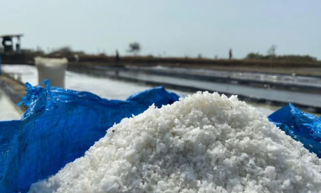 Krisis Garam di Cirebon: Defisit 36.000 Ton Paksa Industri Beralih ke Pasokan Luar Daerah Krisis Garam di Cirebon: Defisit 36.000 Ton Paksa Industri Beralih ke Pasokan Luar Daerah