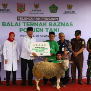 Kurban Baznas Berdayakan 2.089 Peternak Mustahik di 15 Provinsi