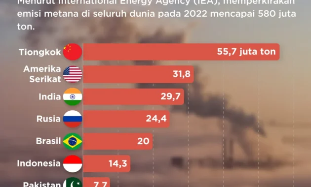 Laporan IEA: Indonesia Menjadi Penyumbang Emisi Metana Kedua Terbesar di Asia Tenggara