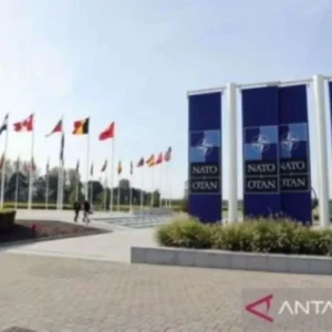 Lebih dari 3.500 Tentara NATO Ikut Latihan di Polandia