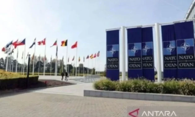 Lebih dari 3.500 Tentara NATO Ikut Latihan di Polandia