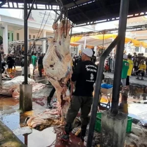 Masjid At‑Taqwa Palmerah Distribusikan 1.500 Paket Daging Kurban untuk Warga