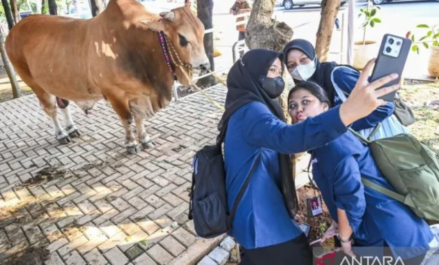 Menag: Idul Adha Momentum Saling Berbagi dan Kebersamaan Menag: Idul Adha Momentum Saling Berbagi dan Kebersamaan