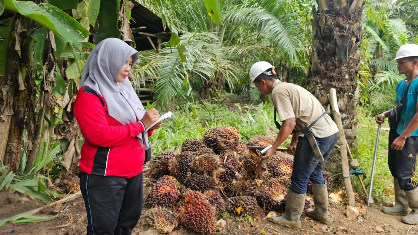 Mengelola Sawit untuk Indonesia yang Kuat