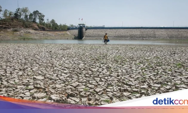 Mengenal El Nino Godzilla 2026: Ancaman Kemarau Ekstrem di Depan Mata, Simak 5 Cara Menghadapinya