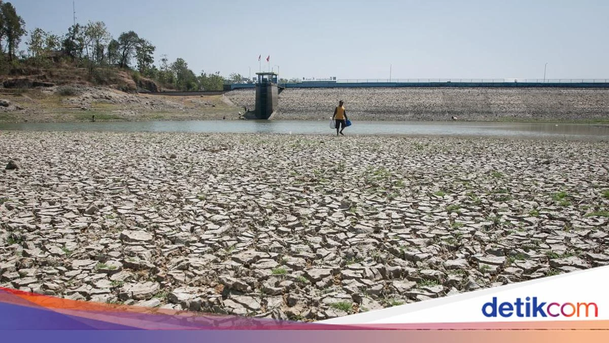 Mengenal El Nino Godzilla 2026: Ancaman Kemarau Ekstrem di Depan Mata, Simak 5 Cara Menghadapinya
