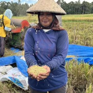 Menjaga Semangat Petani Tabanan dari Godaan Geliat Pariwisata