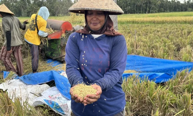 Menjaga Semangat Petani Tabanan dari Godaan Geliat Pariwisata Menjaga Semangat Petani Tabanan dari Godaan Geliat Pariwisata