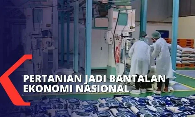 Mentan: Pertanian Jadi Bantalan Ekonomi Nasional Di Tengah Penguatan Dolar Mentan: Pertanian Jadi Bantalan Ekonomi Nasional Di Tengah Penguatan Dolar