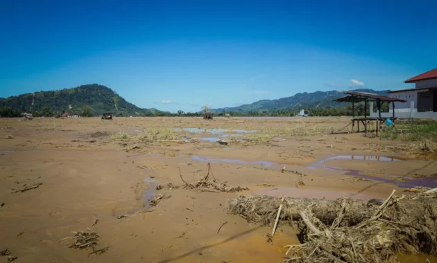 Menteri Pertanian Tinjau Pemukiman dan Sawah Terdampak Banjir di Sulawesi Tenggara