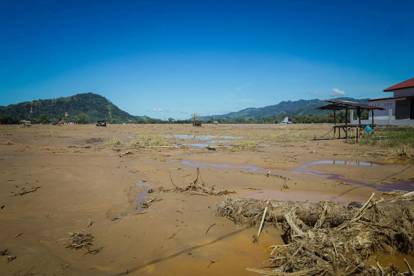 Menteri Pertanian Tinjau Pemukiman dan Sawah Terdampak Banjir di Sulawesi Tenggara