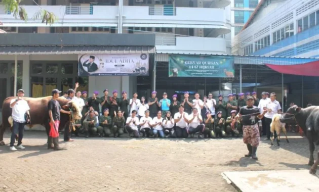 Menwa Jayakarta dan Sahabat Rizky Irmansyah Salurkan Sapi Kurban Seberat 1 Ton Menwa Jayakarta dan Sahabat Rizky Irmansyah Salurkan Sapi Kurban Seberat 1 Ton