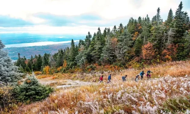 Menyingkap Musim Gugur: Dari Proyek Minyak Kanada hingga Kecelakaan Mematikan di Colorado, dan Rilis Produk Apple yang Menggebrak Pasar