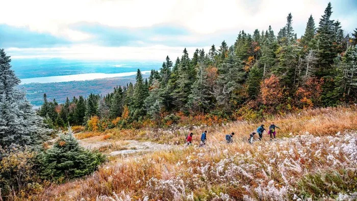 Menyingkap Musim Gugur: Dari Proyek Minyak Kanada hingga Kecelakaan Mematikan di Colorado, dan Rilis Produk Apple yang Menggebrak Pasar