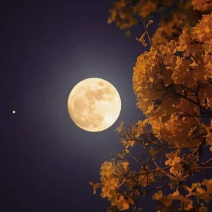 Misteri Flower Moon: Fenomena Langka Biru dan Mikro di Kansas yang Wajib Disaksikan
