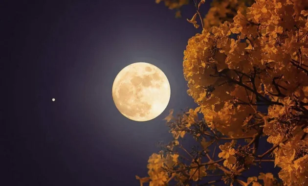 Misteri Flower Moon: Fenomena Langka Biru dan Mikro di Kansas yang Wajib Disaksikan Misteri Flower Moon: Fenomena Langka Biru dan Mikro di Kansas yang Wajib Disaksikan
