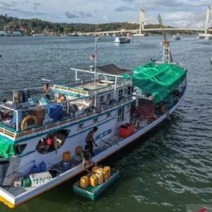 Modernisasi Kapal Ikan Berkeadilan: Pemerintah Targetkan 1.582 Unit hingga 2028