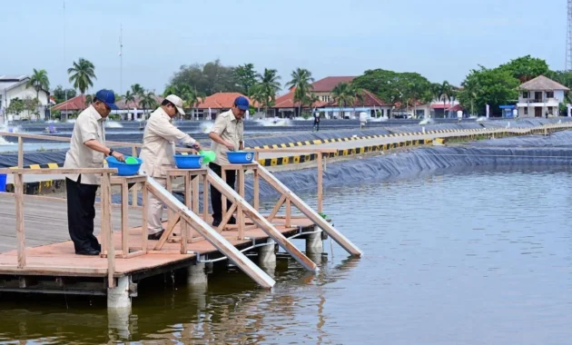 Momen Prabowo Turun ke Tambak: Sekali Tarik, Ribuan Udang Menepi